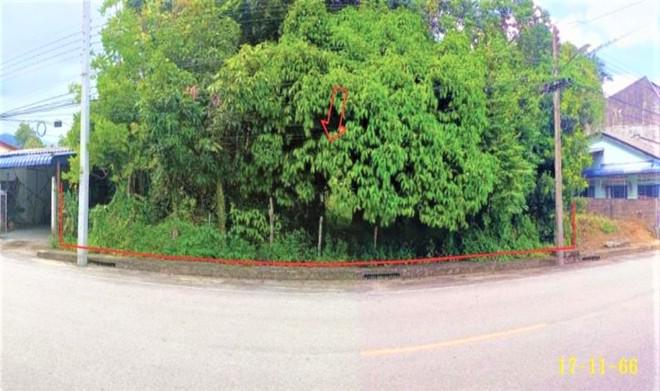 ปะลุรู สุไหงปาดี นราธิวาส